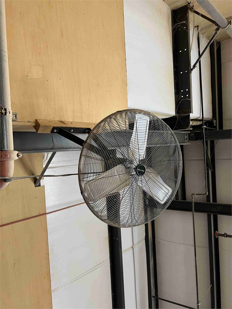 Wall Mounted Fan