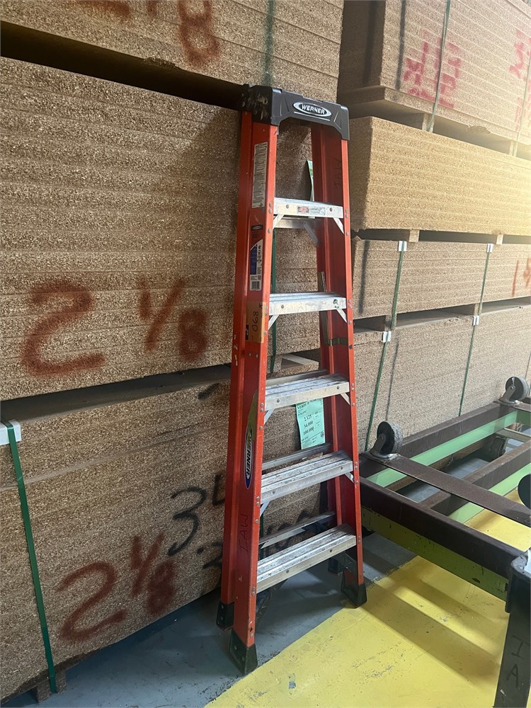 Werner 10' Fiberglass Ladder