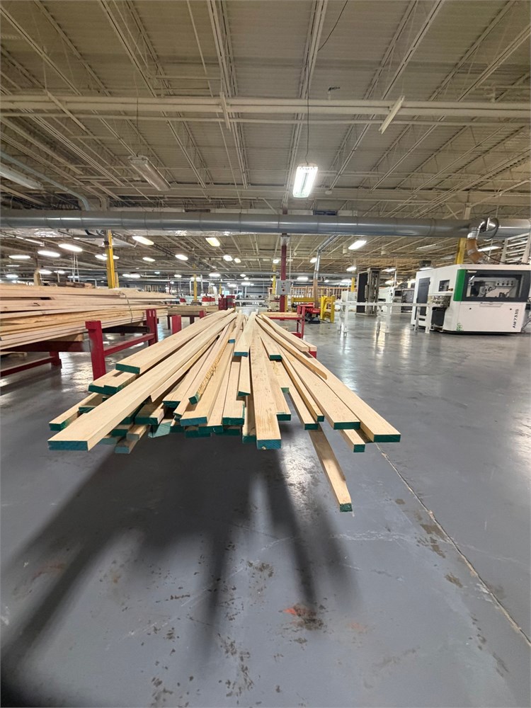 Lot of of Poplar Boards
