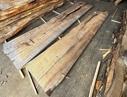 Lot of Maple Live Edge - Various Lenghts and Widths, Approx 12 pieces