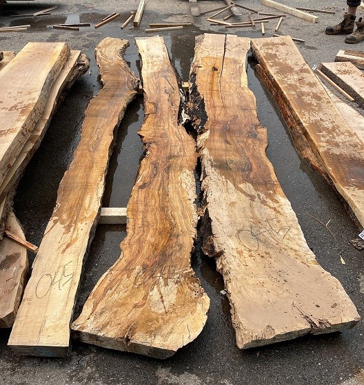 (3) Slabs of "Spalted Maple" Kiln Dried, Up to 131"L x 18" W x 2 1/2 - 3" Thick