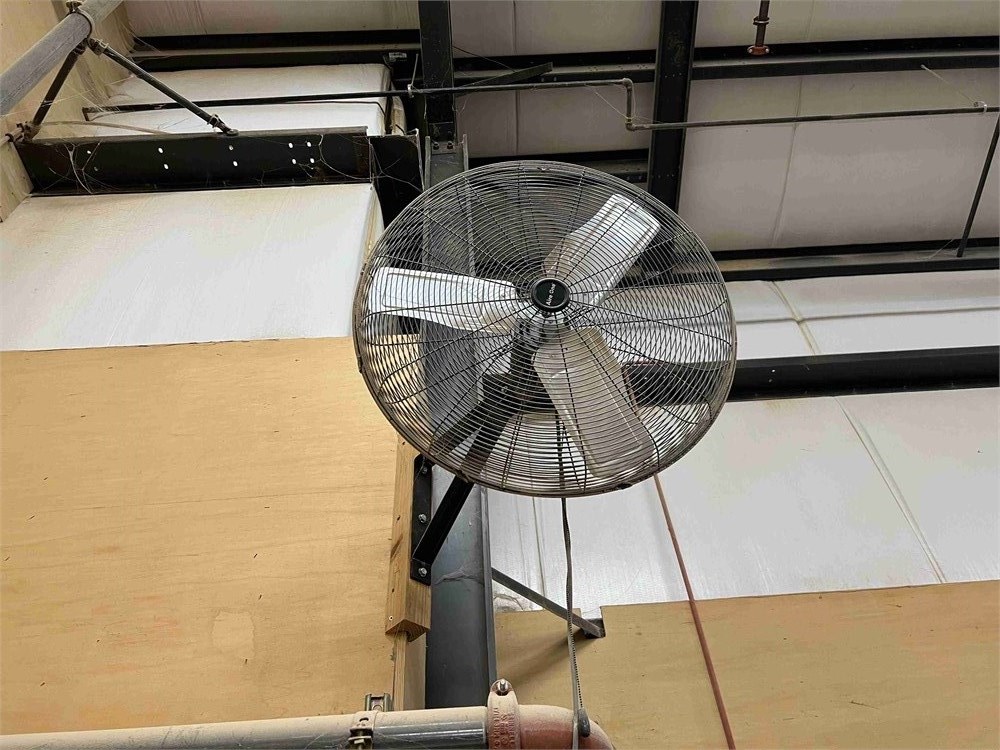 Wall Mounted Fan