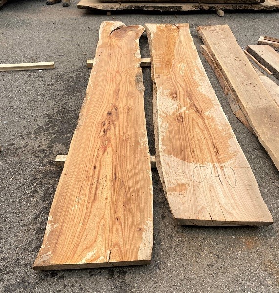 (2) Slabs of "Elm" Live Edge - Kiln Dried, Up to 140"L x 22" W x to 3" Thick