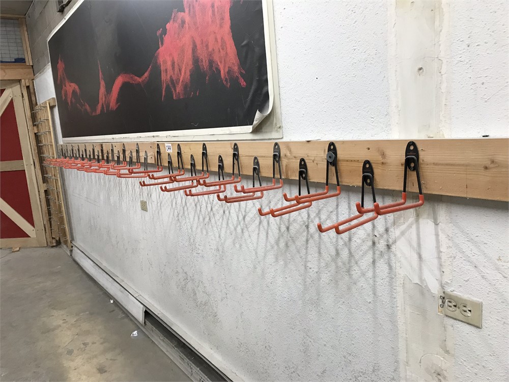 Wall Rack with Hangers