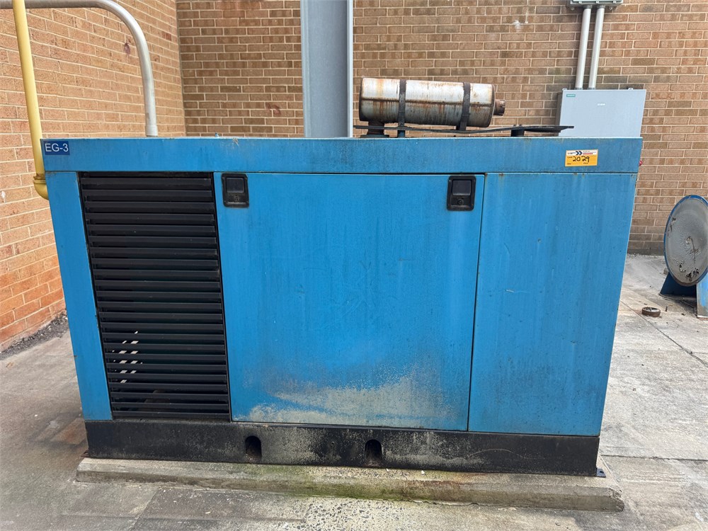 Onan Generator
