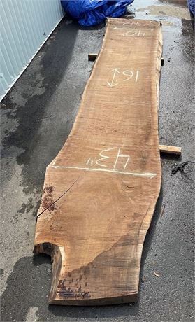 LIVE EDGE "BIG WALNUT" SLAB * 192" LONG - SEE PHOTO FOR MORE DIMENSIONS