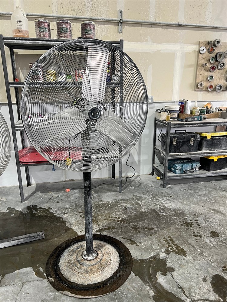 Pedestal Fan