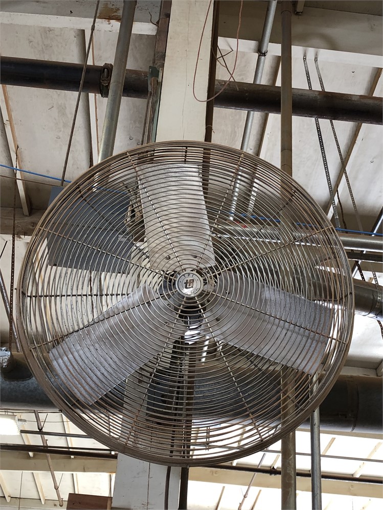 Wall-mounted Fan