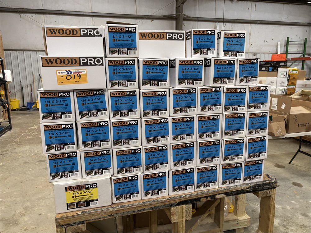 Lot of Wood Pro Washer Head Screws