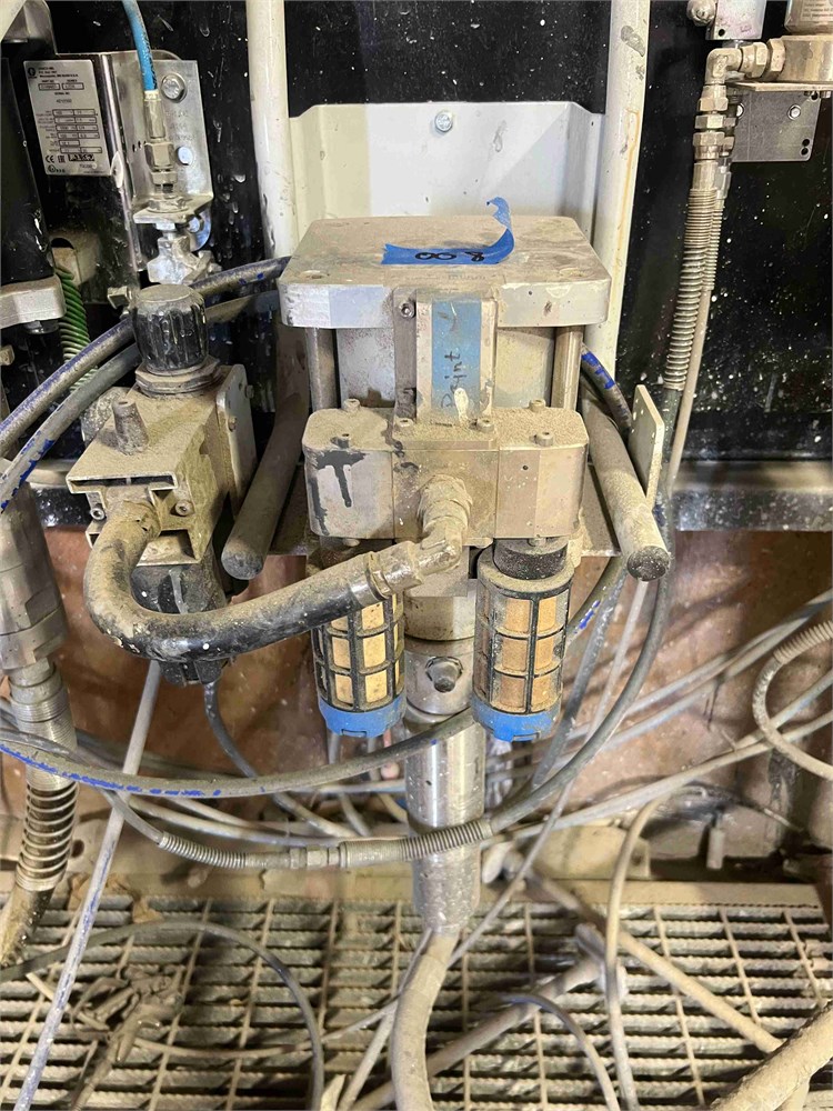 Durr "EcoPump VP 110 225" Paint Pump