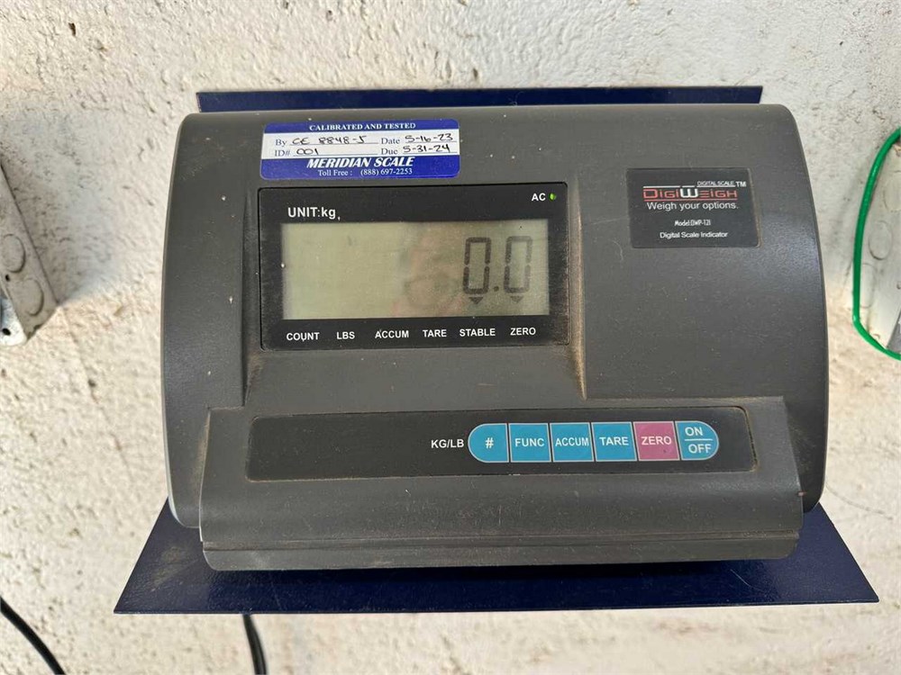 Digiweigh "DWP-121" Platform Scale