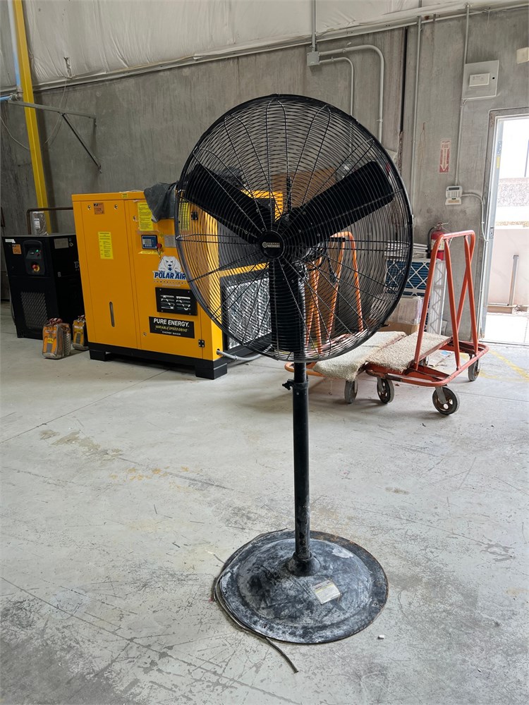 Pedestal Fan