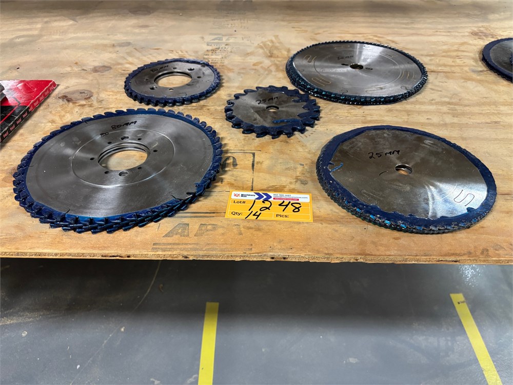 Lot of Saw Blades - Qty (14) - as pictured