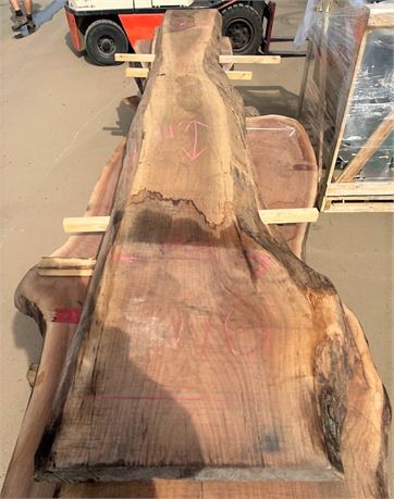 LIVE EDGE "WALNUT" SLAB * 132" LONG - SEE PHOTO FOR MORE DIMENSIONS