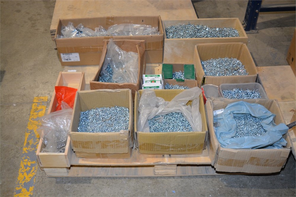 Screws - Assorted - as pictured