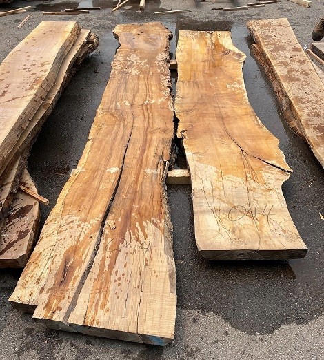 (2) Slabs of "Spalted Maple" Kiln Dried, Up to 136"L x 21" W x 2 1/2 - 3" Thick