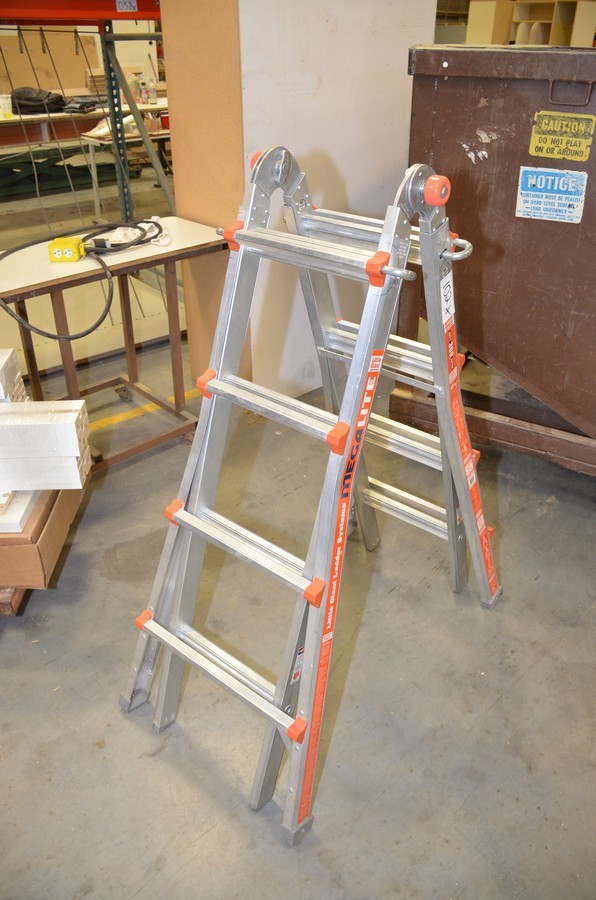 Little Jumbo - Step Ladder