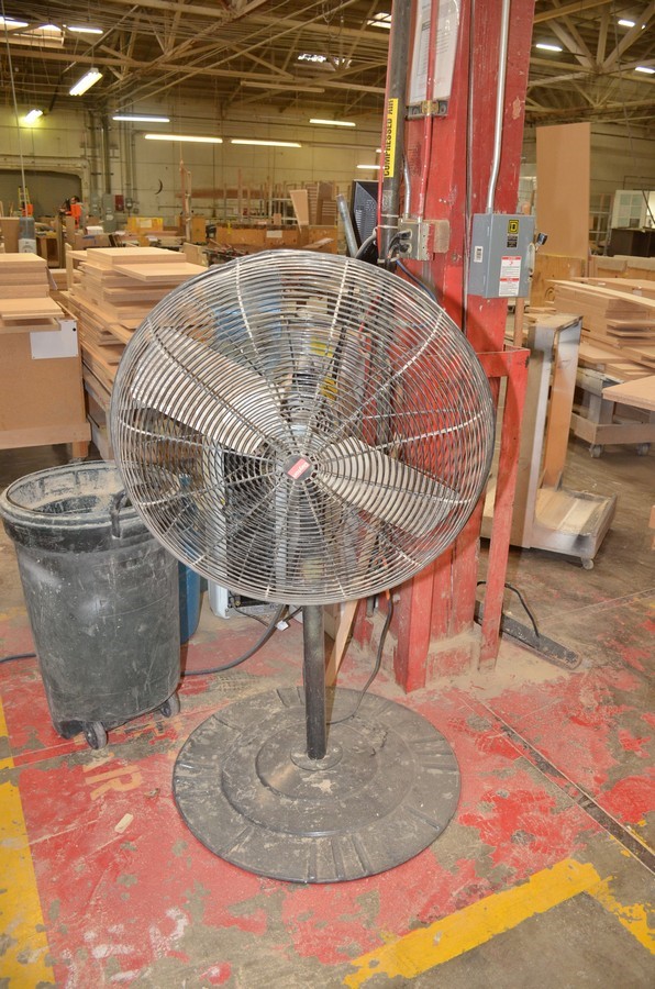 Pedestal Fan as pictured