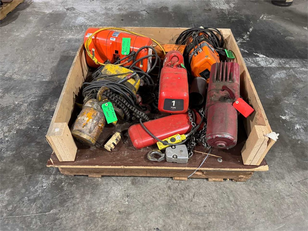 Five (5) Motorized Chain Hoists