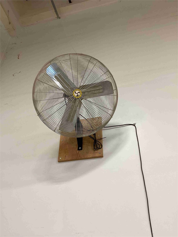 Wall Mounted Fan