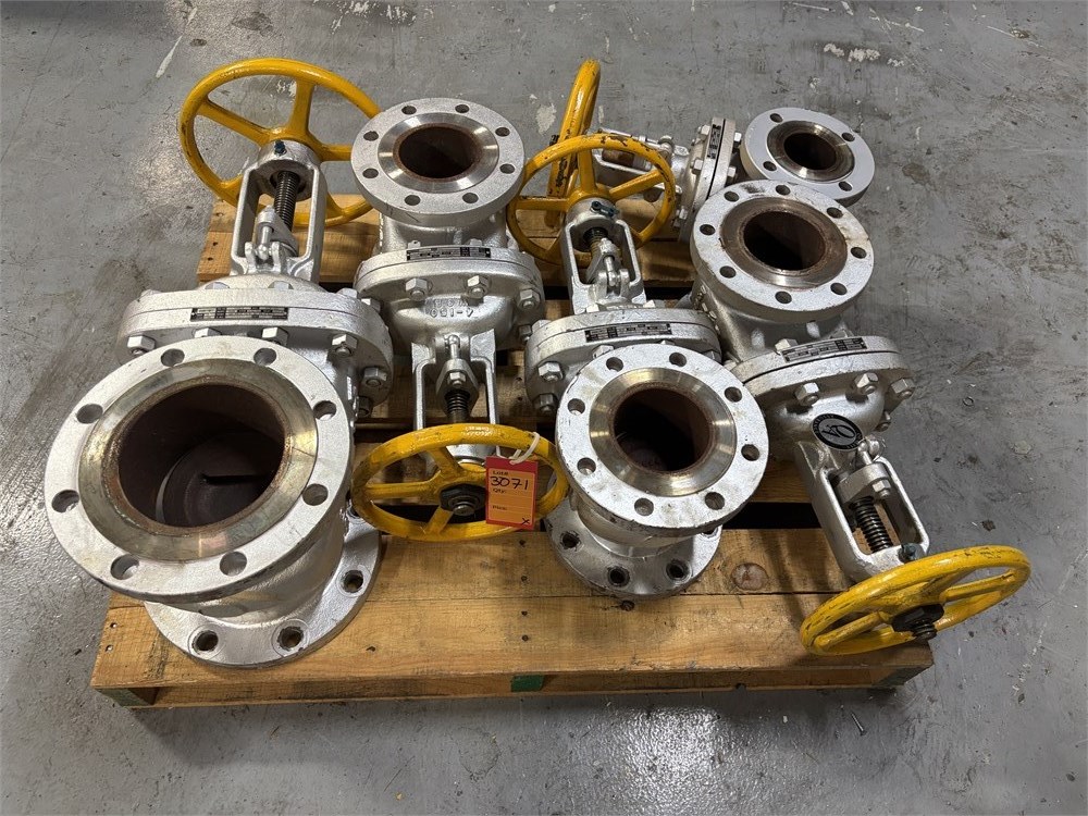 (5) Warren Gate Valves