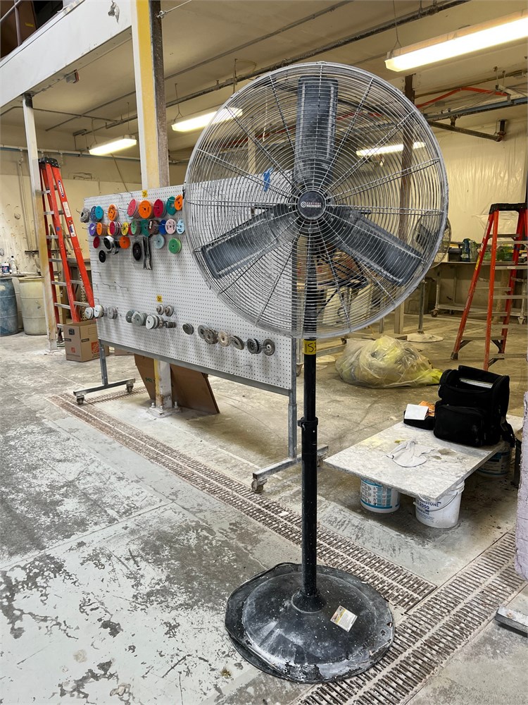 Pedestal Fan