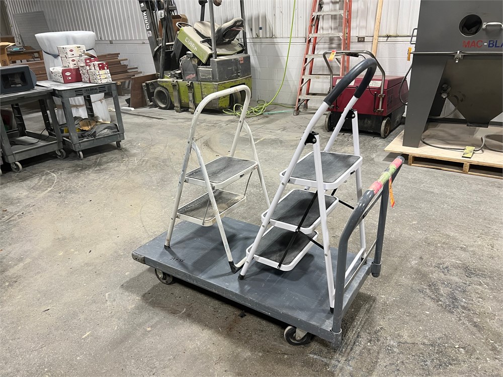 Cart & (2) Ladders