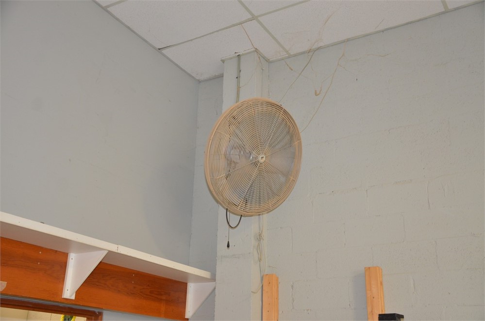 Oscillaing Wall Fan